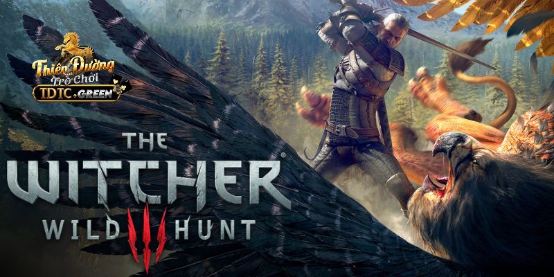 The witcher wild hunt TDTC 