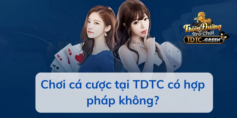 Chơi cá cược tại TDTC có hợp pháp không?