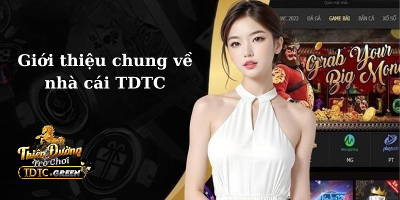 Khuyến mãi TDTC, Code TDTC