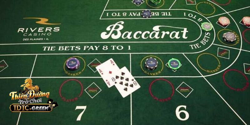 Một số thuật ngữ phổ biến trong Baccarat TDTC