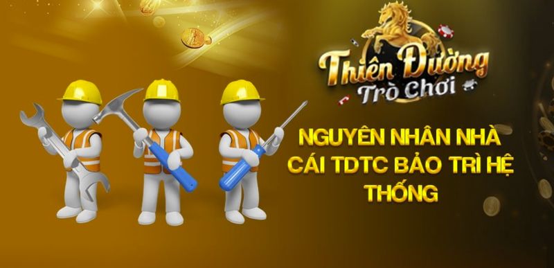 Nguyên nhân cổng game TDTC bảo trì