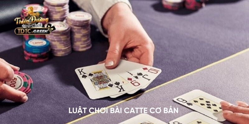 Luật chơi bài Catte cơ bản